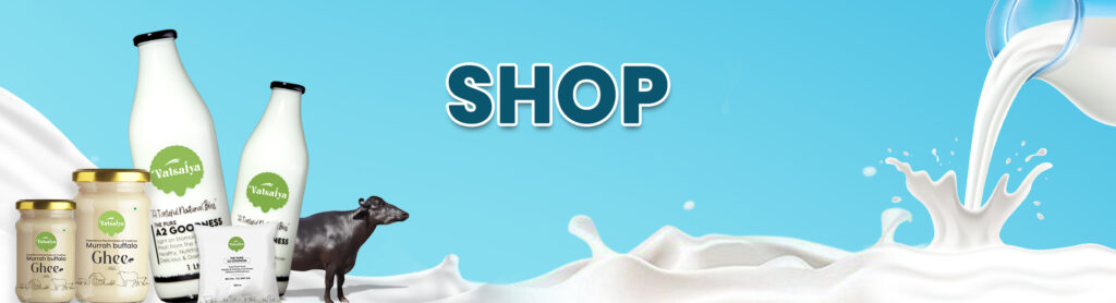Shop Fresh Buffalo Milk Online