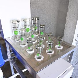 Vatsalya Farms - A2 milk Glass Bottle